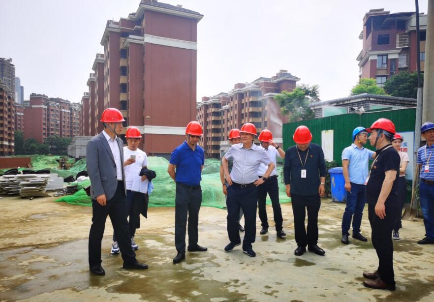 凯时尊龙人生就是博集团谋划提升年专责事情组 开展系列项目督导