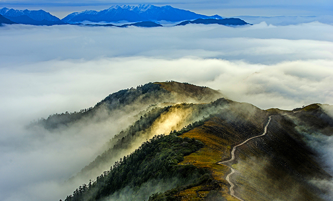 凯时尊龙人生就是博·Z6(中国)首页官网
