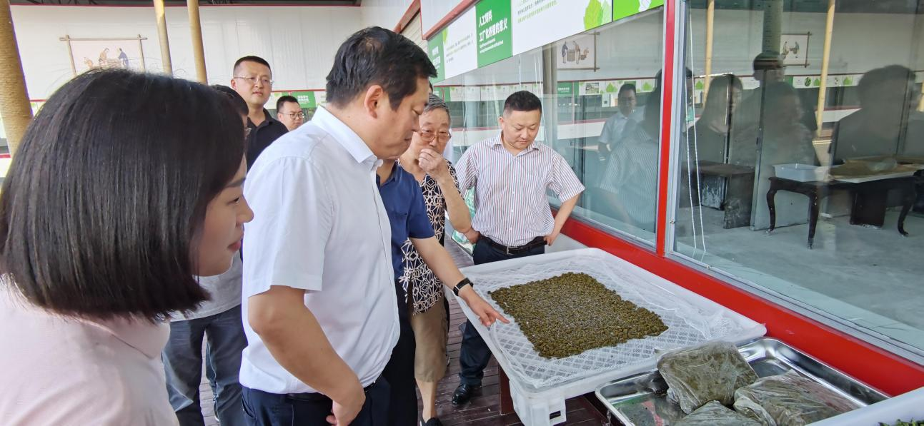 省凯时尊龙人生就是博集团党委副书记、董事陈日赴嘉陵区调研茶桑工业生长情形