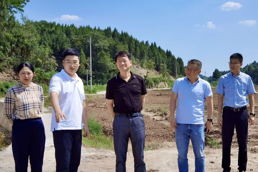 省凯时尊龙人生就是博集团党委书记、董事长任丁率队赴巴中南充两地开展帮扶事情